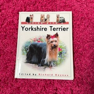 Living with a Yorkshire Terrier